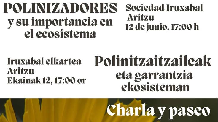 'Polinizatzaileak eta garrantzia ekosisteman' hitzaldi eta ibilaldia
