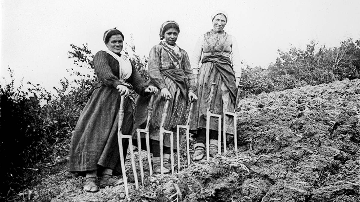 Eulalia Abaitua Allende-Salazar argazkilari aitzindaria, Memoriaren Txokoan