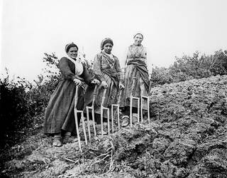 Eulalia Abaitua Allende-Salazar argazkilari aitzindaria, Memoriaren Txokoan