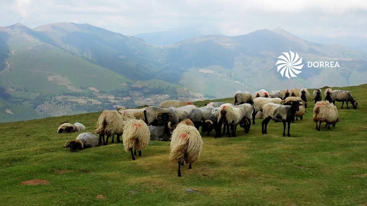 Listeria atzemandako gazta marken lote zenbakiak, hemen