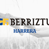 Bakarrik dauden adingabe migratzaileendako harrera familien bila