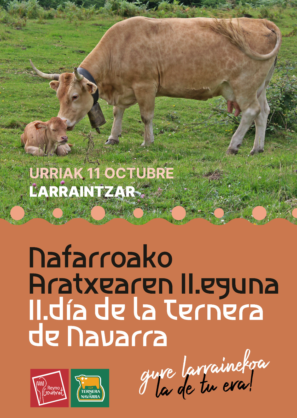 https://amezti.tok-md.com/argazkiak/Iel/aratxearen_eguna.jpeg