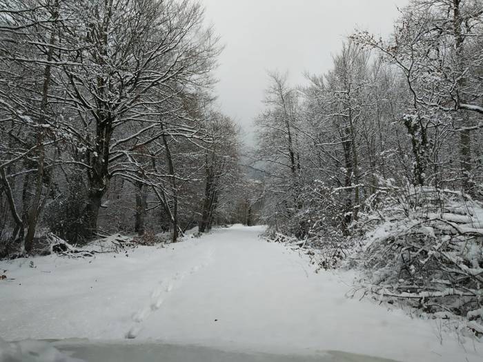 Oreinek bidalitako argazkiak, Eltzaburutik Leurtzarako bidean