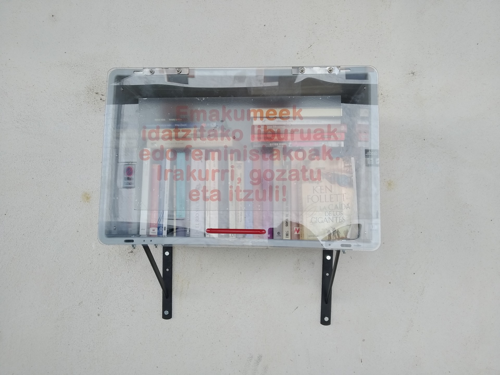 Emakumeen liburutegia, Basaburuan