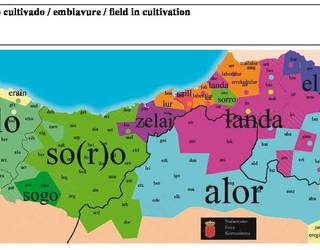 Alorra,  'Ultzamaldeko jolasa' ataleko hitz berria
