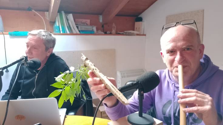 Intsusa: sendabelarra, txirula-katxinba eta xanpaina, dena batera!