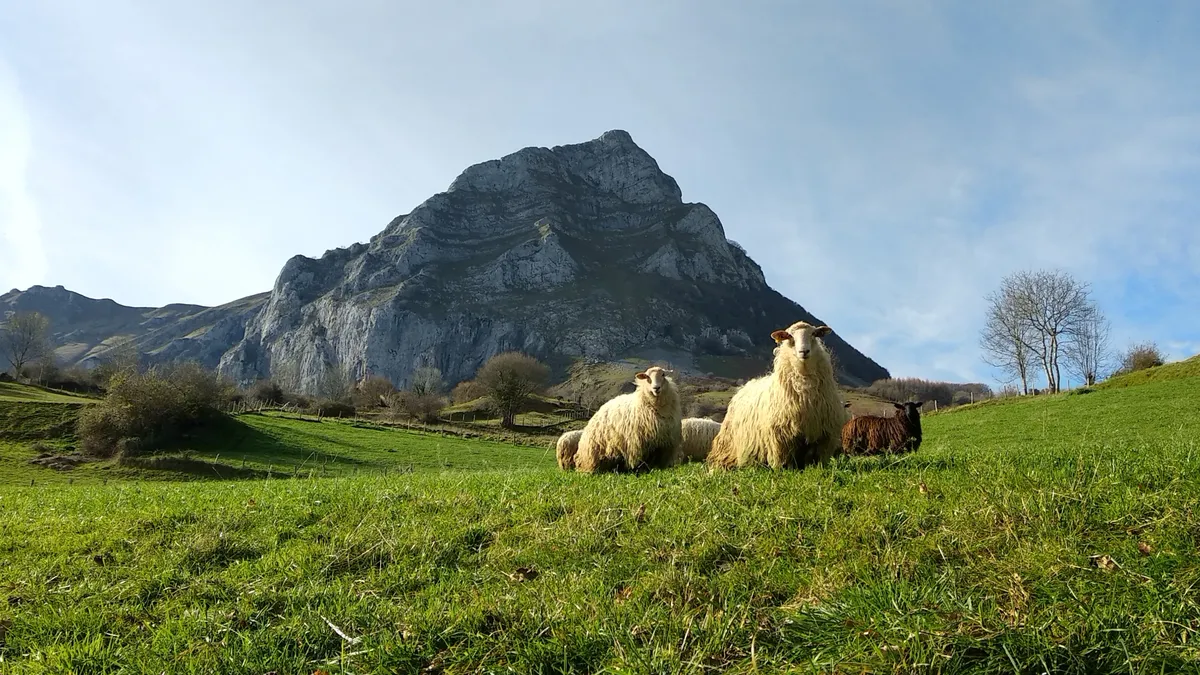 Lehen sektoreari lotutako saio irekia, larunbatean Etxalekun
