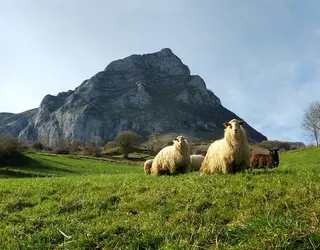 Lehen sektoreari lotutako saio irekia, larunbatean Etxalekun