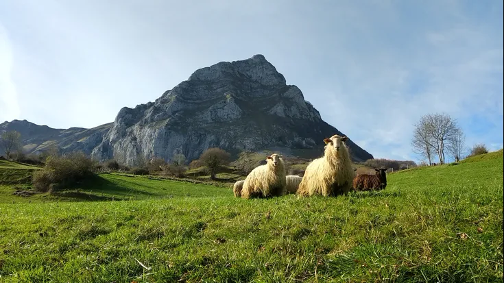 Lehen sektoreari lotutako saio irekia, larunbatean Etxalekun