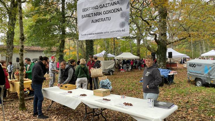 II. Gaztaina Feria, Jauntsaratsen