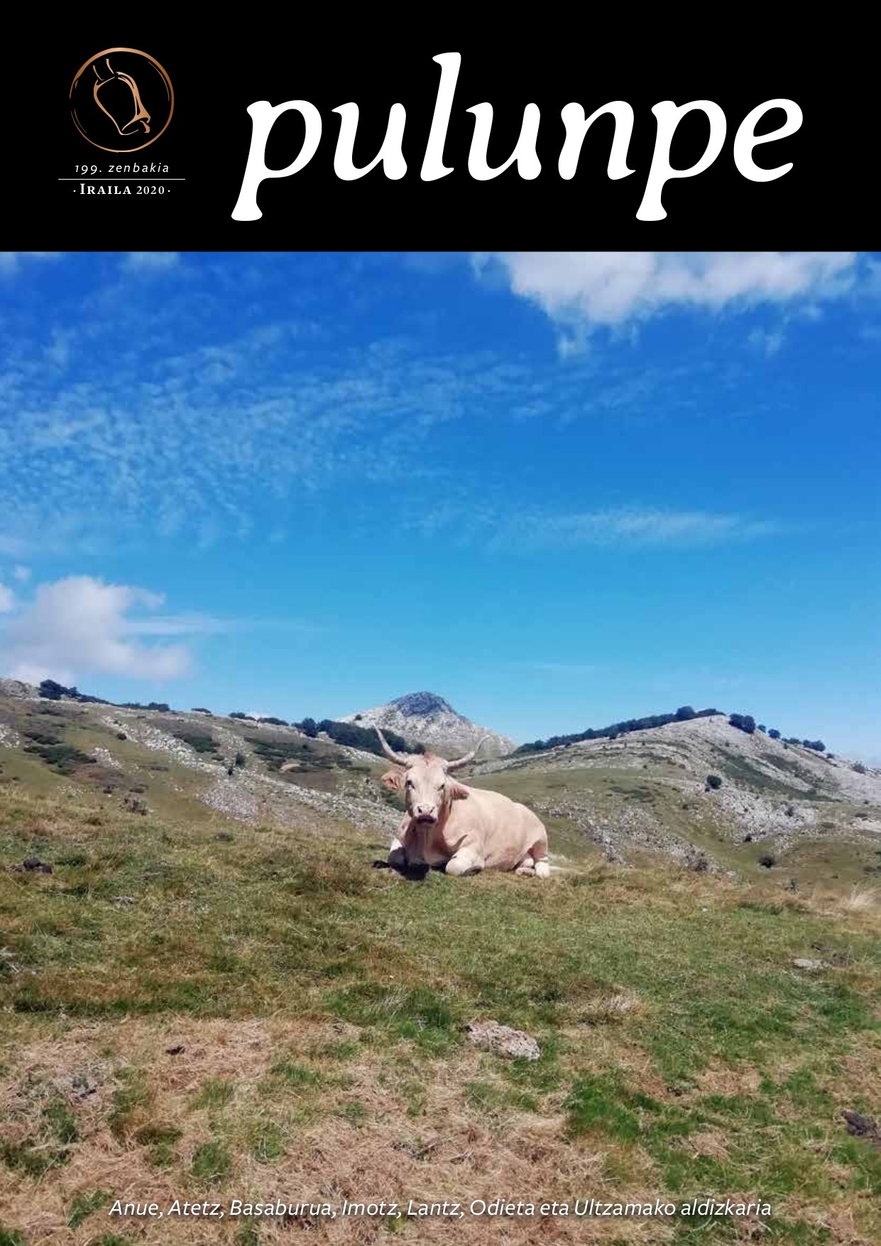Irakurgai duzue 199. Pulunpe