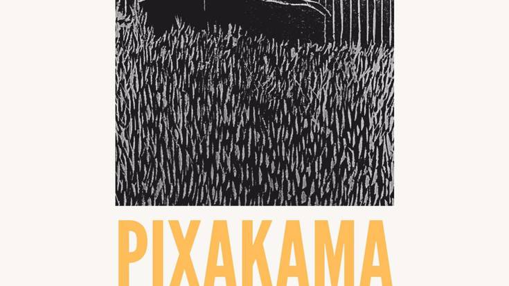 Hizketa-ibilaldia: Pixakama