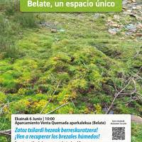 Belate gune paregabea
