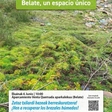 Belate gune paregabea