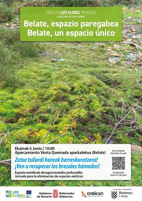 Belate gune paregabea
