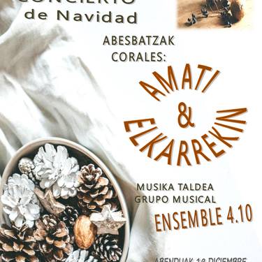 Kontzertua: Amati eta Elkarrekin