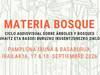 Materia Bosque zikloa: Basaburuko oihan babeslearen aurkezpena eta Haritza pelikula