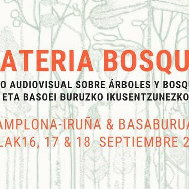 Materia Bosque zikloa: Basaburuko oihan babeslearen aurkezpena eta Haritza pelikula