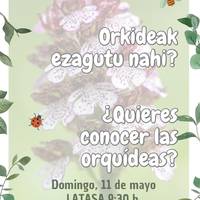 Orkideak ezagutu nahi dituzu?