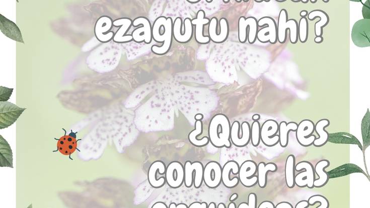 ATZERATUA: Orkideak ezagutu nahi dituzu?
