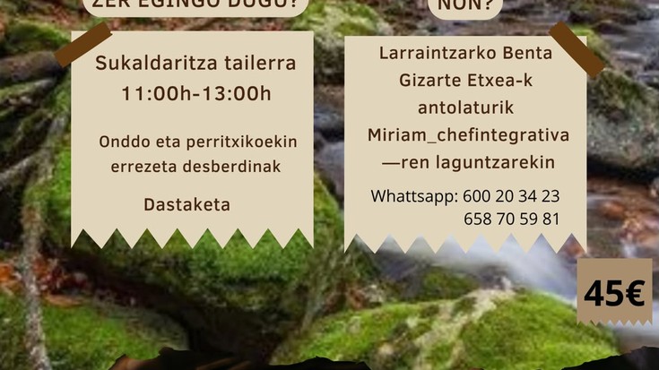 Tailer mikologikoa