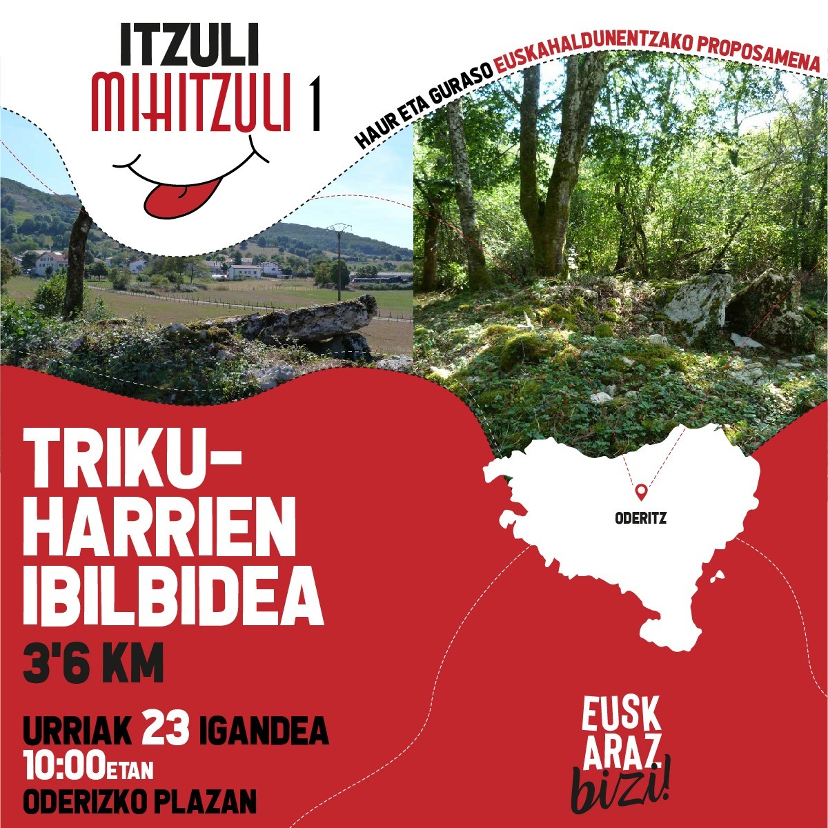 Itzuli mihitzuli egitasmoa jaio da
