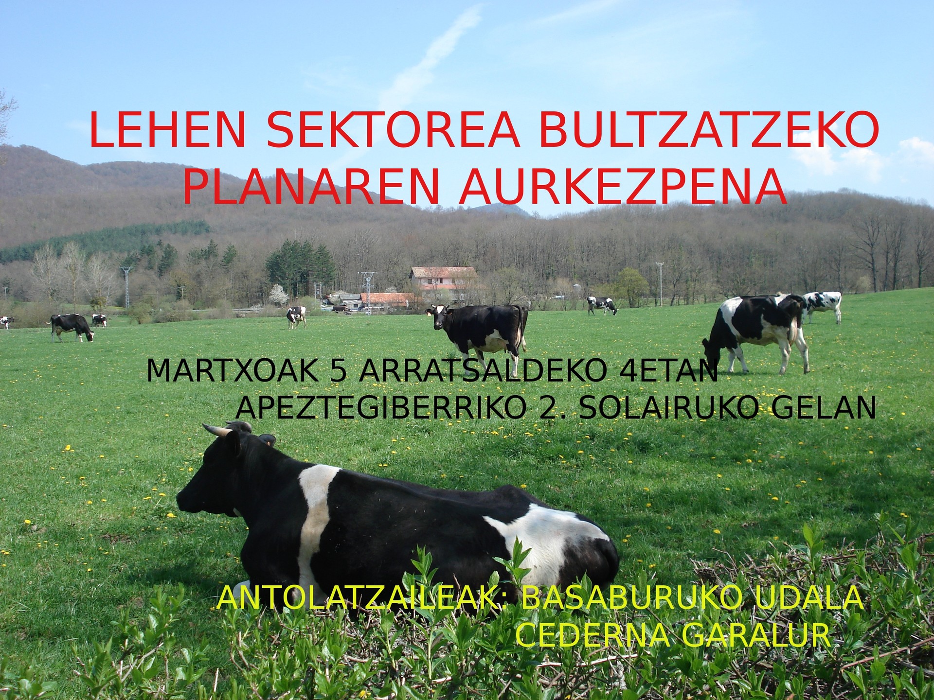 Lehen sektorea bultzatzeko planaren aurkezpena eginen du Basaburuko Udalak ostegunean