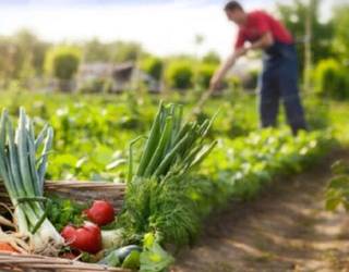 Lehen sektorean praktikak egiteko ikasleak hartu nahi dituztenentzat hitzaldi informatiboa, asteazkenean