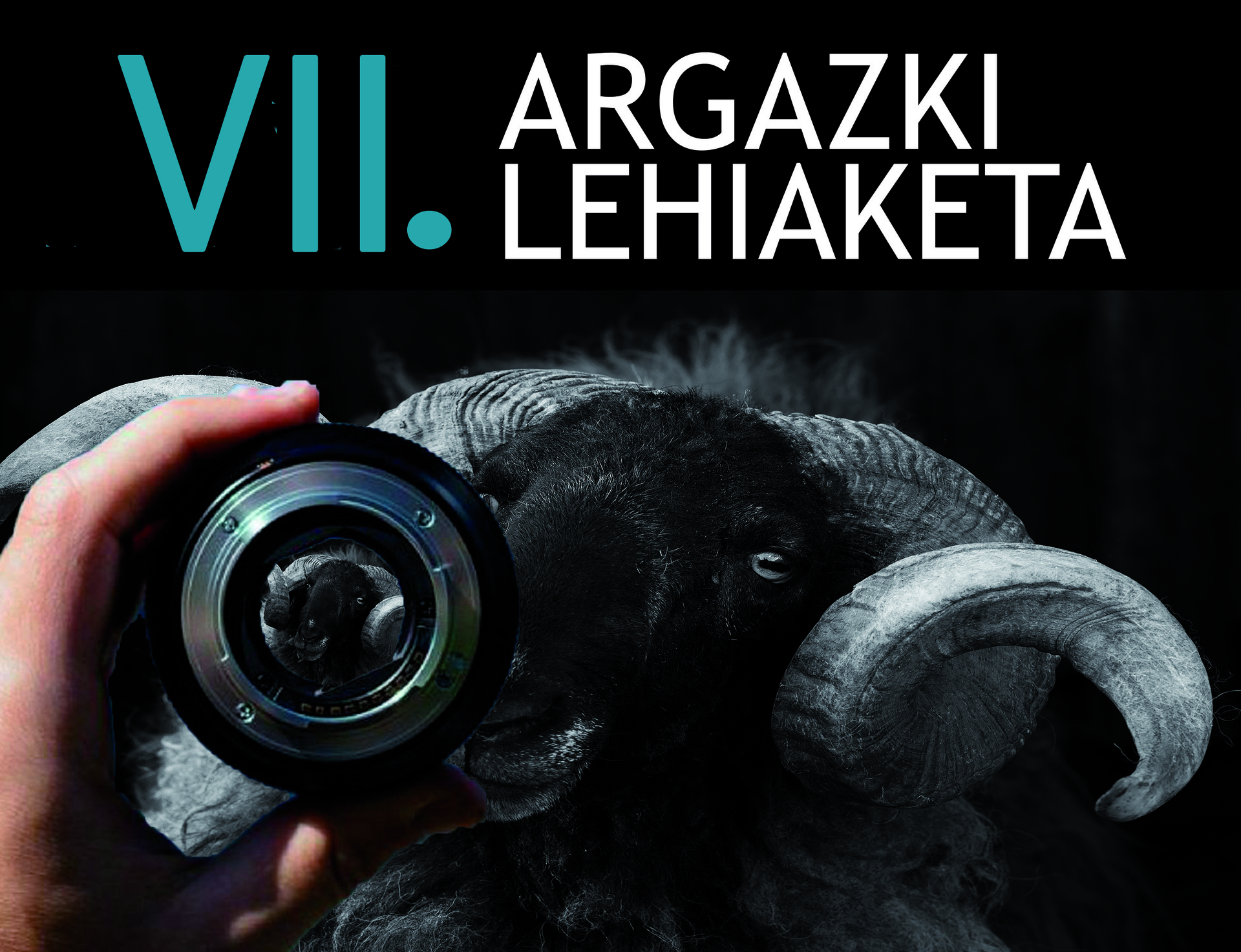Hemen da Pulunpeko VII. Argazki Lehiaketa