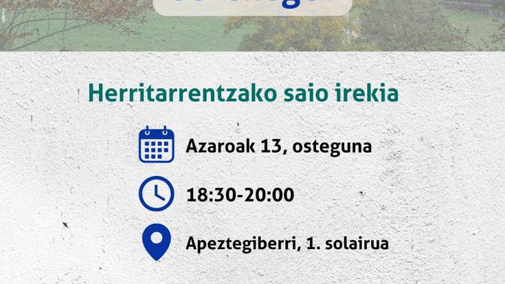 Euskararen egoera Basaburuan