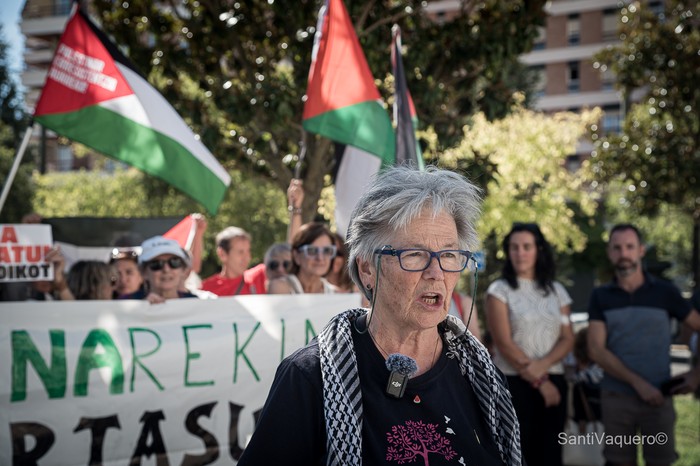 Krisi humanitarioa Palestinan