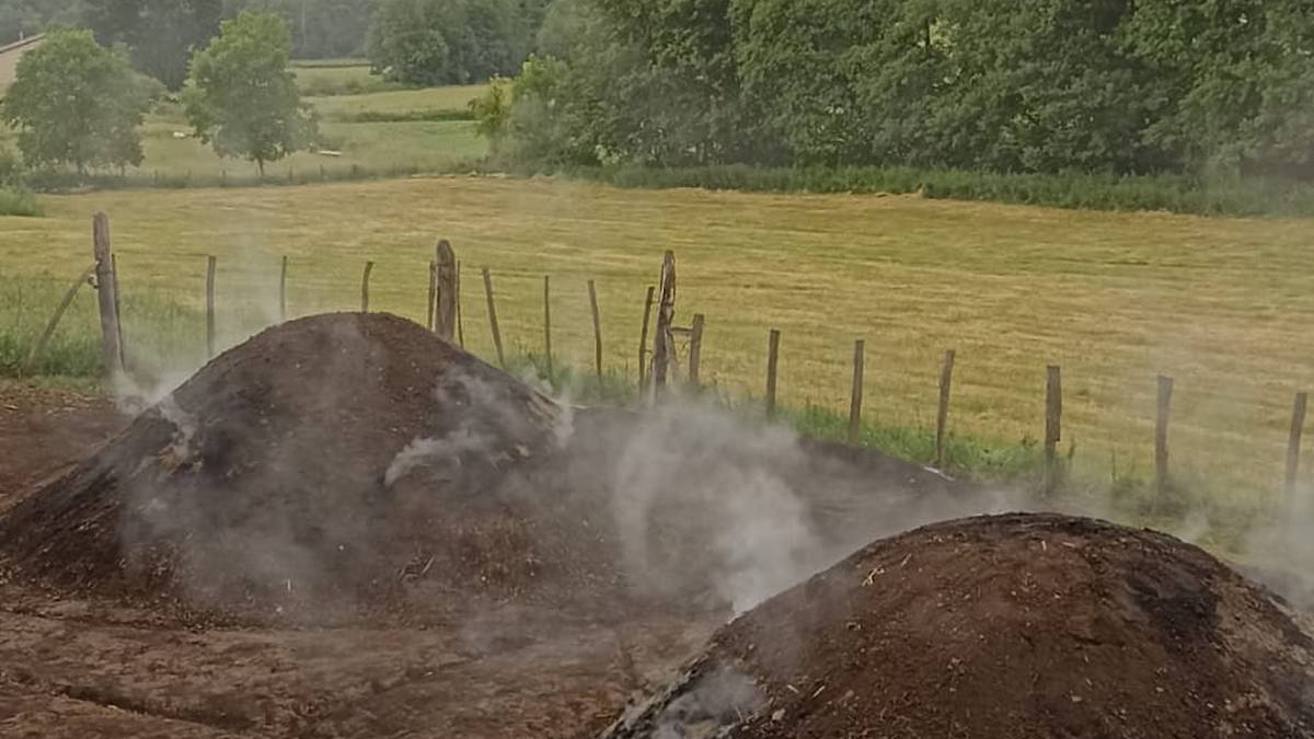 Txondorra egiten ari dira Eltzaburun
