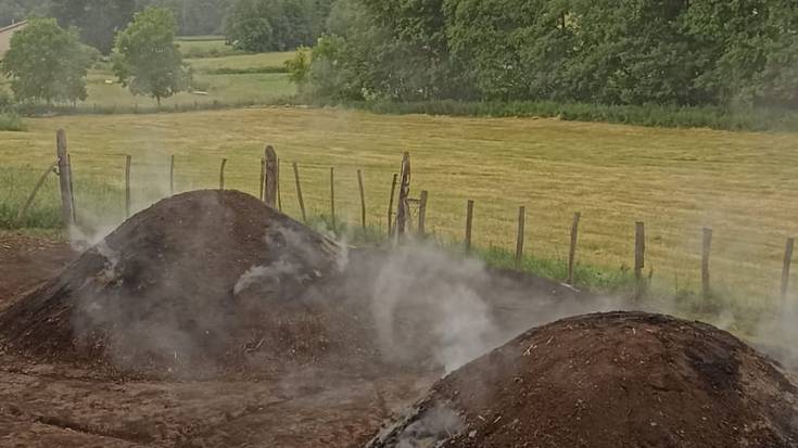 Txondorra egiten ari dira Eltzaburun