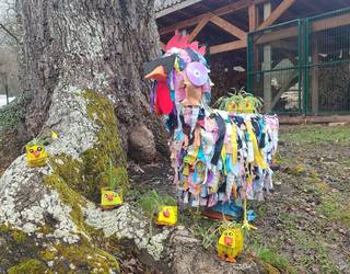 Oihanzabal ikastola finalista, Diario de Noticiasen Reciclón leihaketan