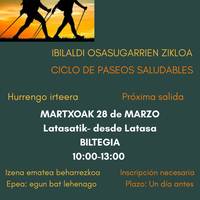 Ibilaldi osasungarrien zikloa