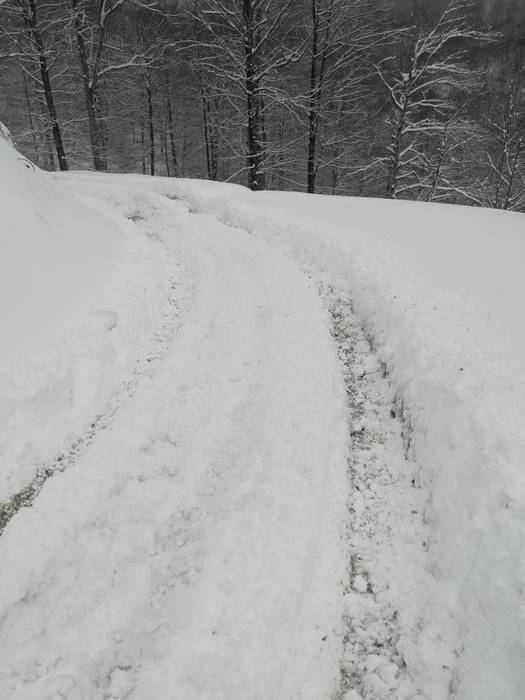Oreinek bidalitako argazkiak, Eltzaburutik Leurtzarako bidean