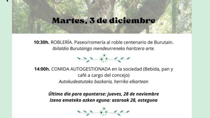 Jarduera: Burutaingo haritzeraino ibilaldia