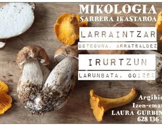 Mikologia hastapen ikastaroak, Larraintzarren eta Irurtzunen