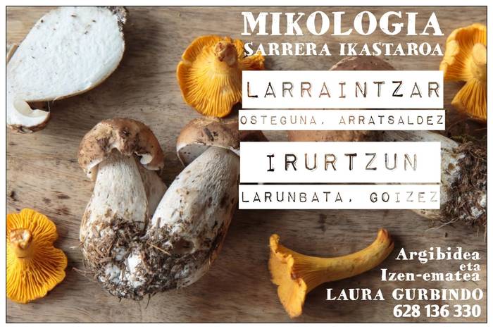 Mikologia hastapen ikastaroak, Larraintzarren eta Irurtzunen