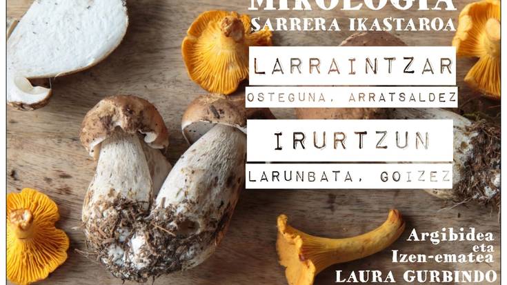 Mikologia hastapen ikastaroak, Larraintzarren eta Irurtzunen