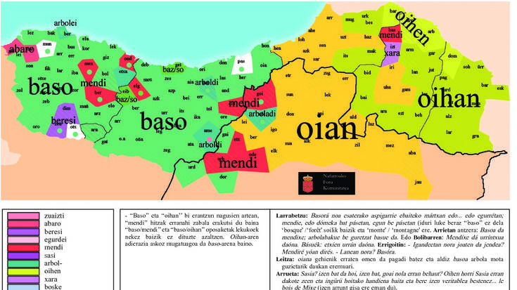 Noiztik erabiltzen dugu 'basoa', 'oihana'ren ordez?