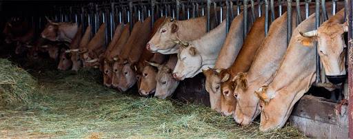 Hitzaldi-eztabaida: lehen sektorea, gaur