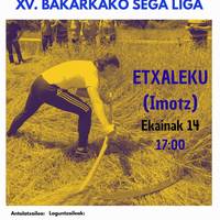 Euskal Herriko XV. bakarkako sega liga