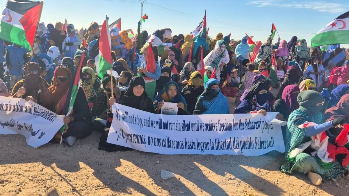 Mendebaldeko Sahara, mende erdiko zapalkuntza