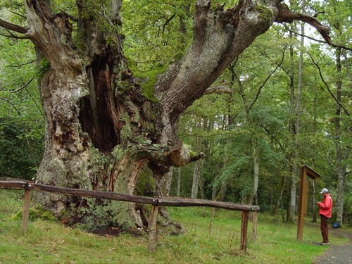 Naturguneen erabilera publikoa zaintzeko eta kudeatzeko dirulaguntzak emanen ditu Nafarroako Gobernuak