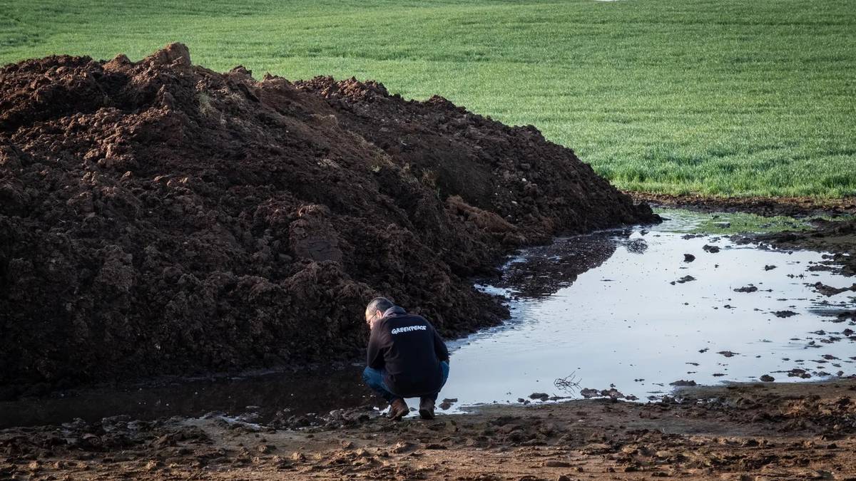 Gotzone Sestorain: "Neurri zuzentzaileek ez dute arazoa konponduko. Nafarroan, lur emankorrak galtzen eta ura kutsatzen ari dira"