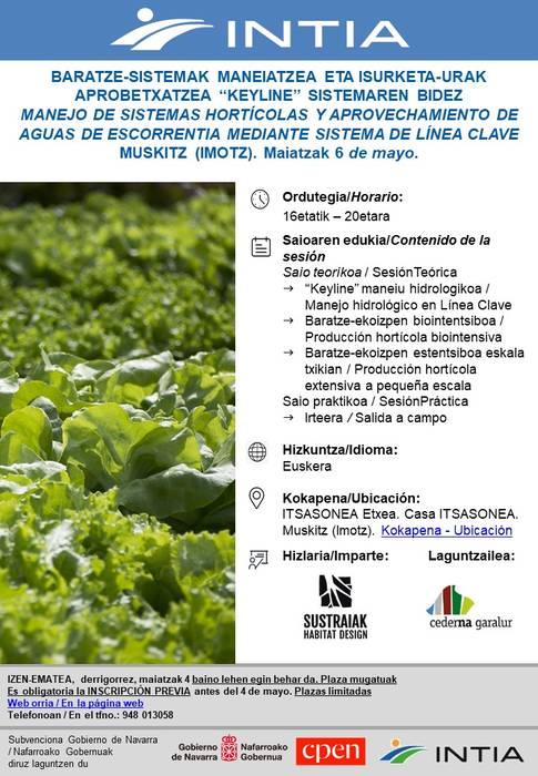 Baratze-sistemak eta isurketa urak