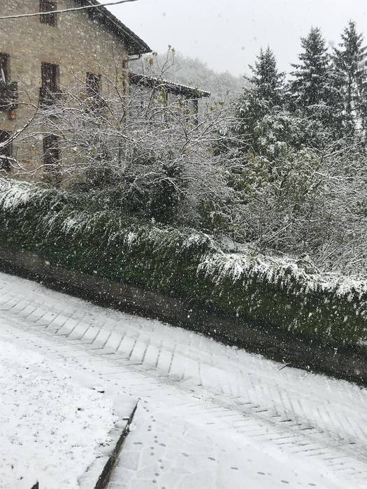 Ziganda ere txuriz jantzi zen, Paulak bidalitako argazkia