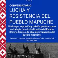 Herri mapuchearen borroka eta erresistentzia