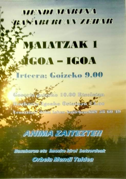 Mendi martxa Basaburuan